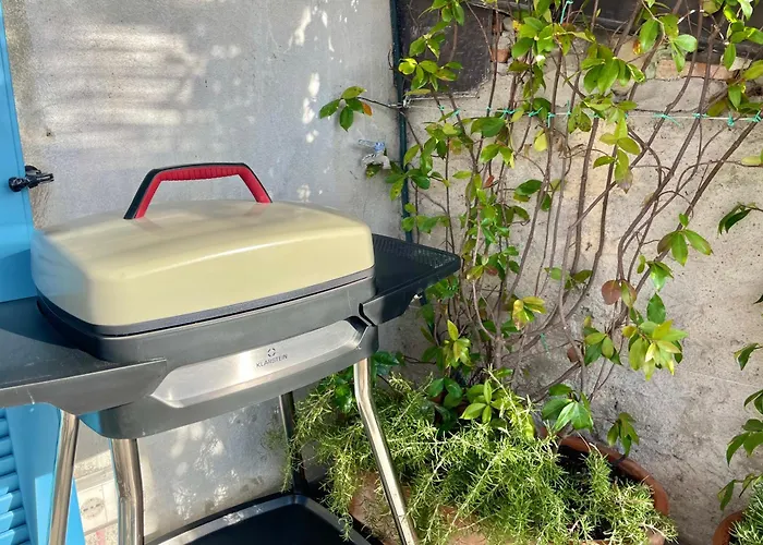 Apartment Il Noce View *